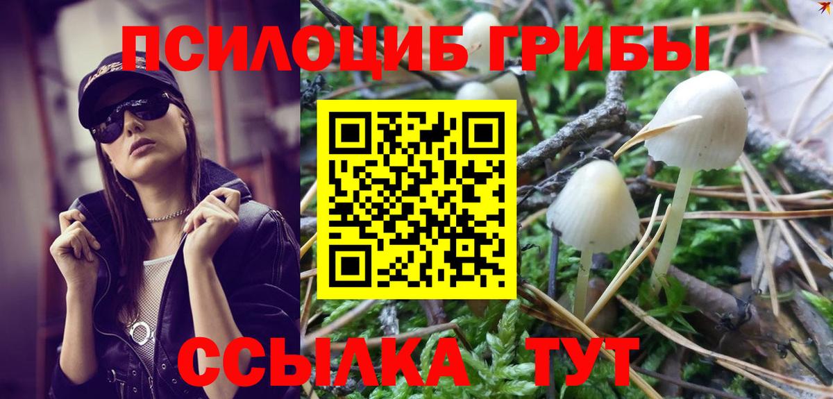 Якутск  Галлюциногенные грибы MAGIC MUSHROOMS  Вход с VPN 